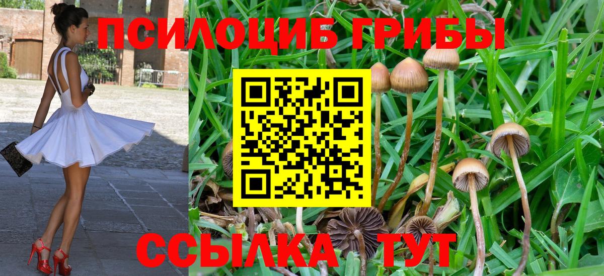 Каннабис Нижнекамск