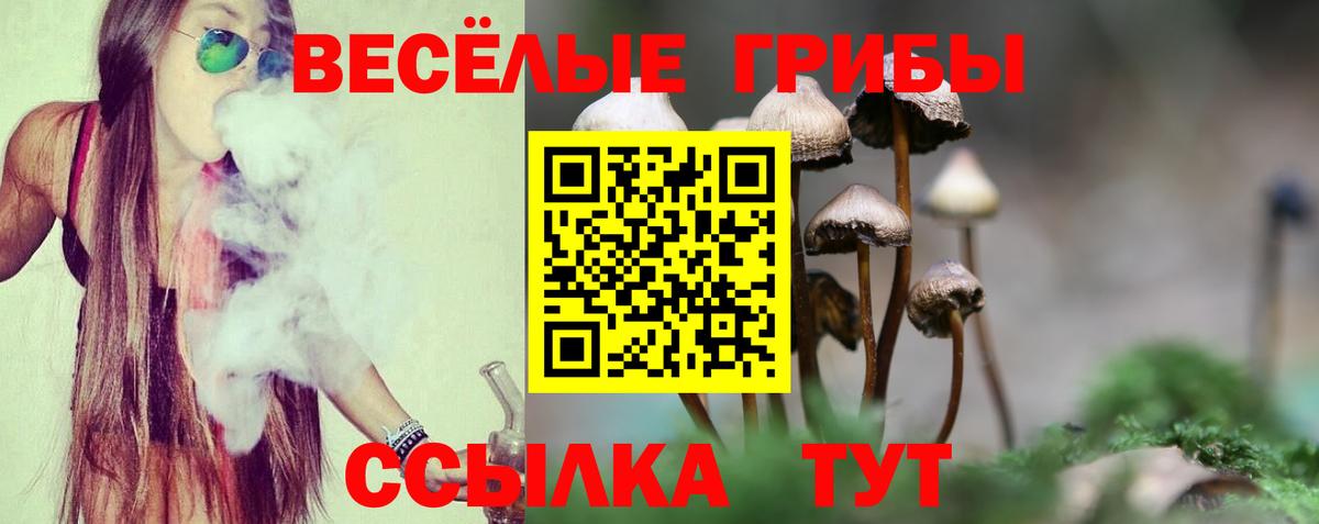 закладка  Вход с VPN  Нижнекамск  Псилоцибиновые грибы MAGIC MUSHROOMS 