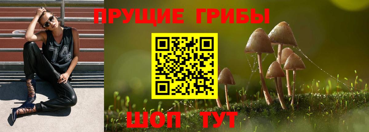 Галлюциногенные грибы мухоморы Нижнекамск
